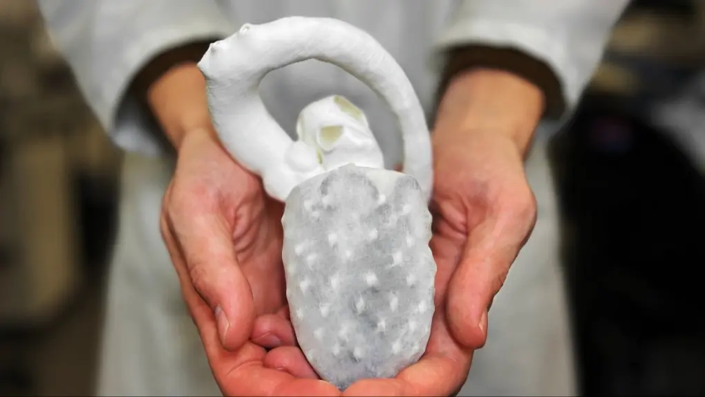 Những công nghệ hứa hẹn đột phá tương lai tại VinFuture 2025